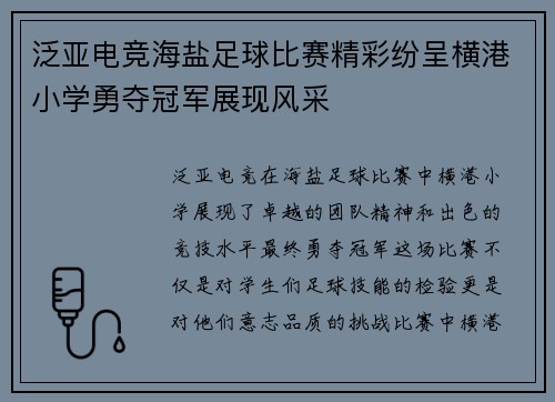 泛亚电竞海盐足球比赛精彩纷呈横港小学勇夺冠军展现风采